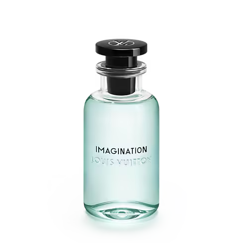 Imagination